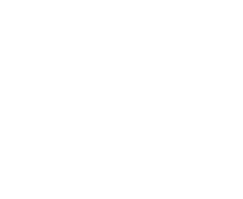 AVI logo